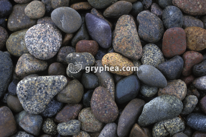 Galets granitiques - gryphea.org